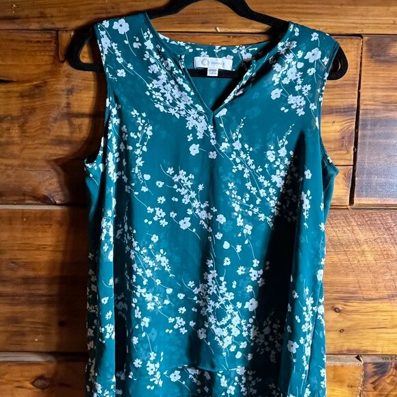 Christina B Sheer Top Size Small Boho Floral V Neck Top - Picture 1 of 4